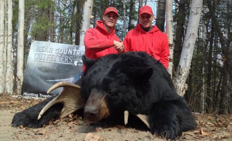 Forfaits de chasse au gros gibier au chevreuil — Bear Country Outfitters – Bear Country Outfitters
