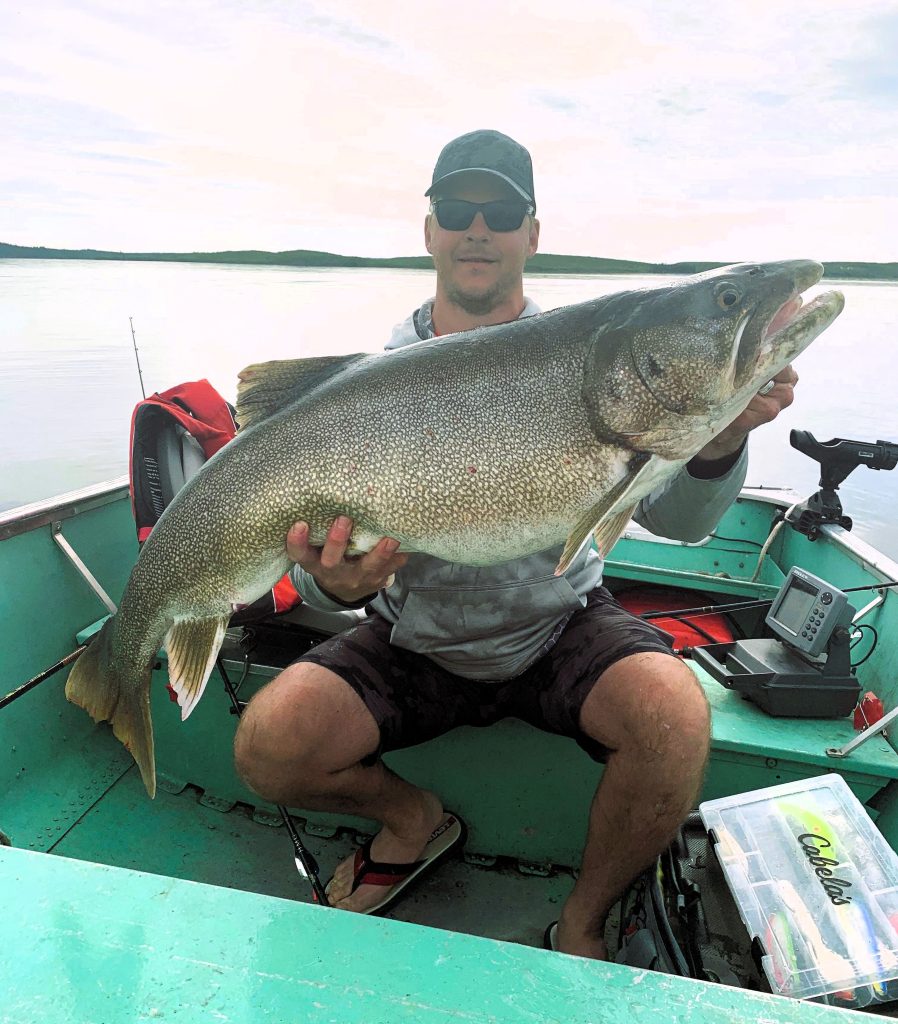 Large Lake Trout